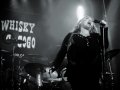 SandyHaleyBand Whiskyagogo10